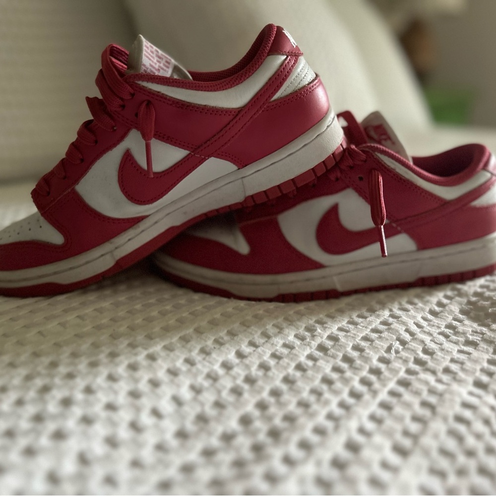 Nike Dunks worn only a few times